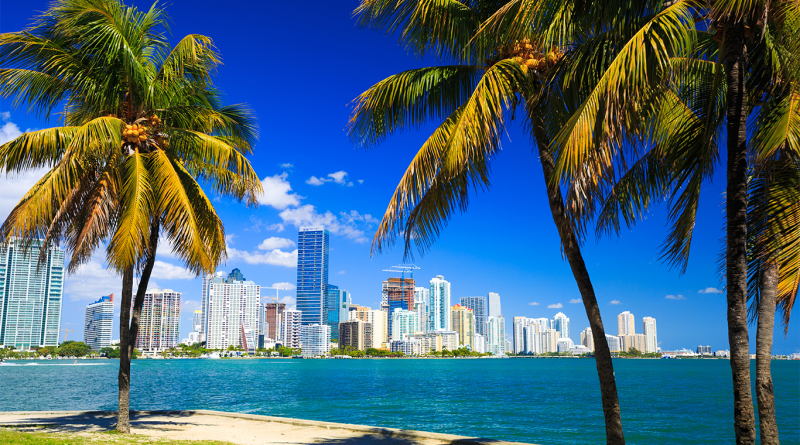 Image of Florida's skyline and palm trees to support Winholt Florida manufacturing article