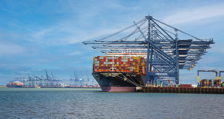 Large container ship in a port under loading cranes