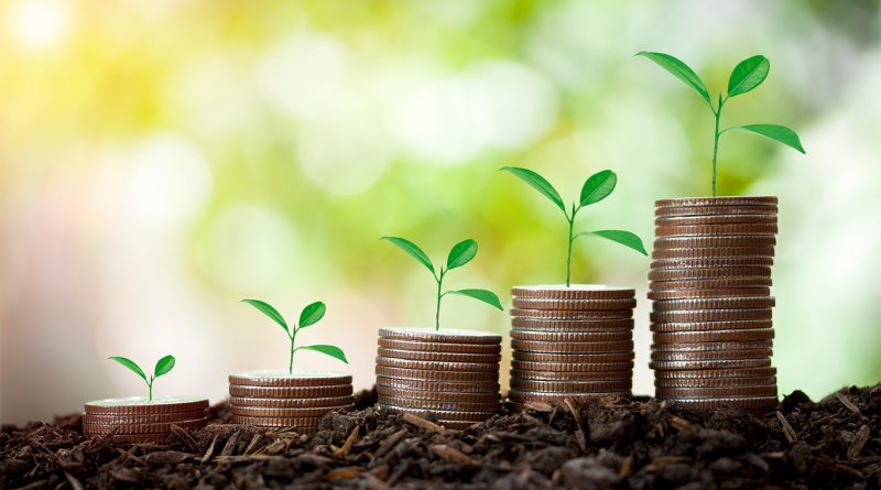 Different coins stacked on top of each other in rows with plants growing out the top to support sustainable investing article