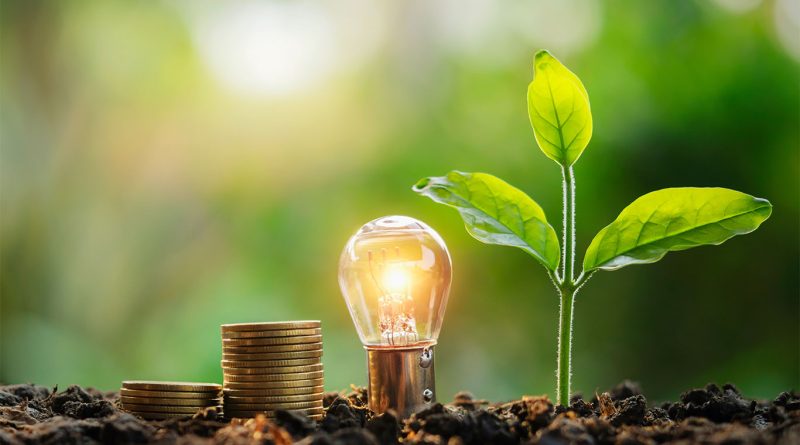 Solar powered lightbulb in forest to support Corning solar investment article