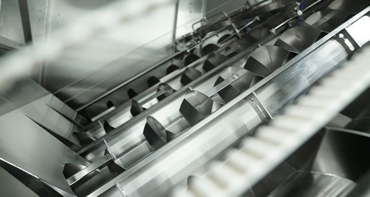 a series of screw conveyors