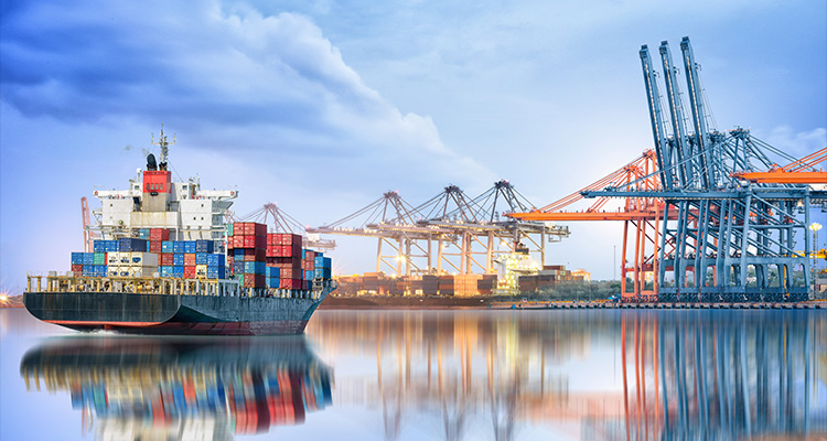 a container ship in a port with cranes for loading and unloading cargo