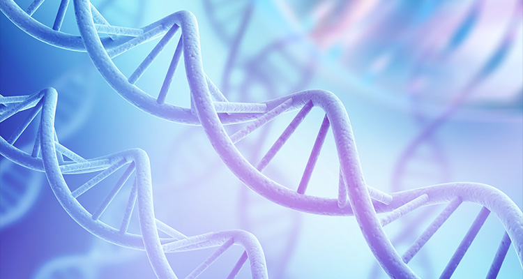 a representation of a DNA molecule